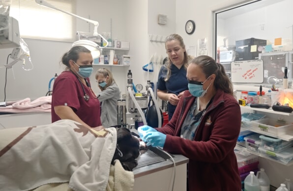 three women examining a patient