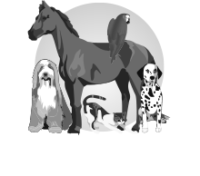Quakertown Veterinary Clinic