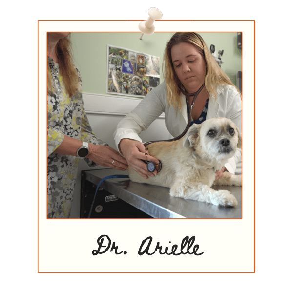 Careers - Quakertown Veterinary Clinic Careers - Quakertown Veterinary Clinic