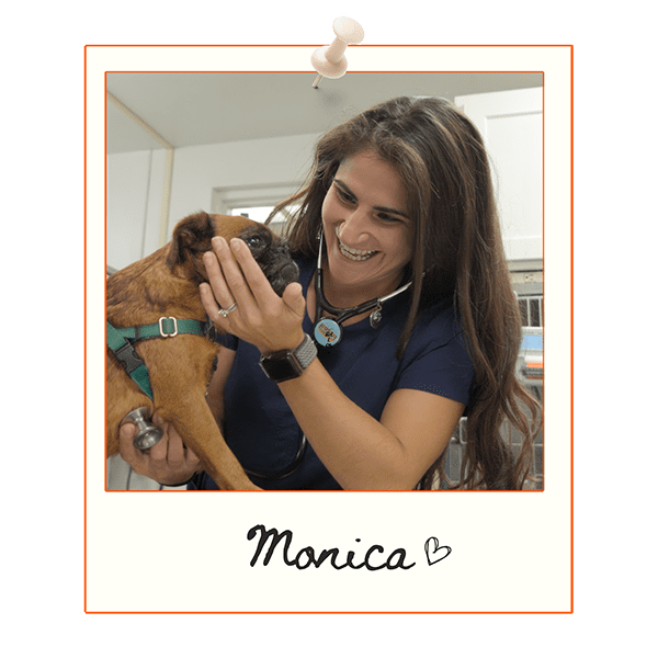 Careers - Quakertown Veterinary Clinic Careers - Quakertown Veterinary Clinic