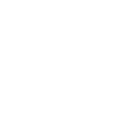 Home - Quakertown Veterinary Clinic Testimonial Icon